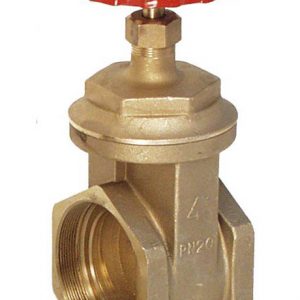 1bdh bsp brass gate valve