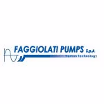 Logo Faggiolati Pumps in UK